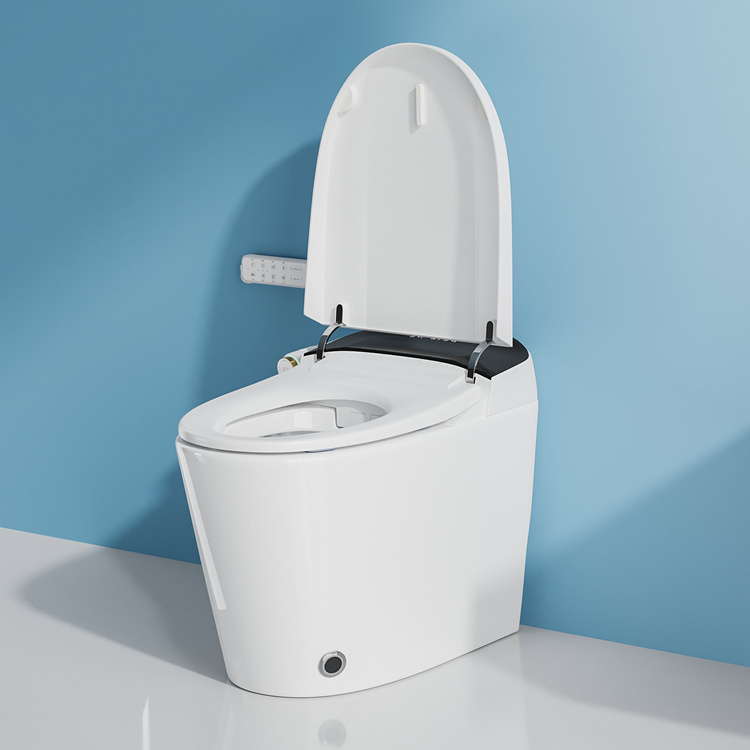 WC Intelligente con Sensore di - Home In Bathroom recensione e prezzo
